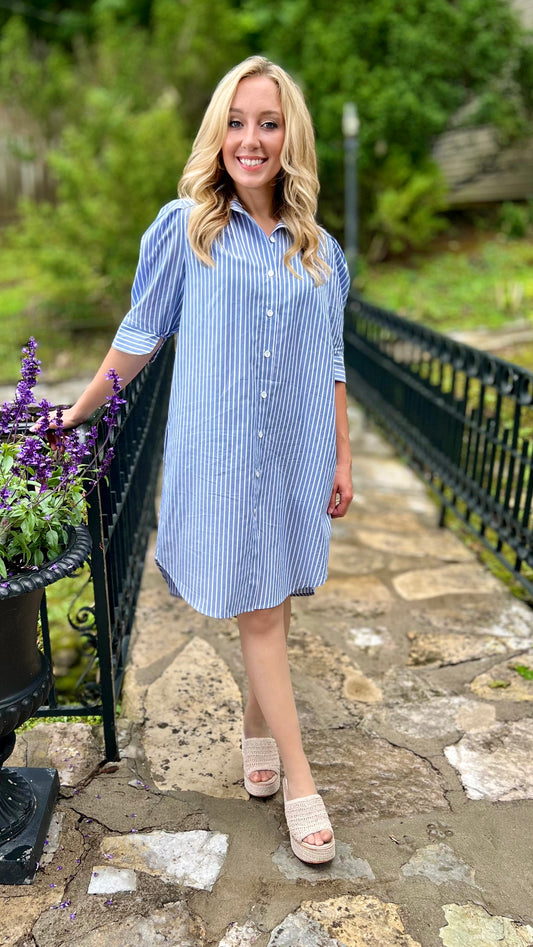 Hayden Denim Stripe Shirt Dress