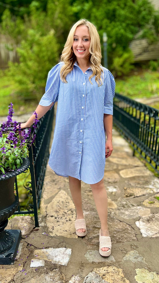 Hayden Denim Stripe Shirt Dress